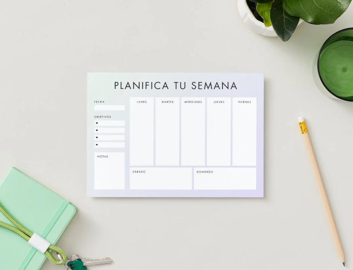 Planificador Semanal Gris Profesional